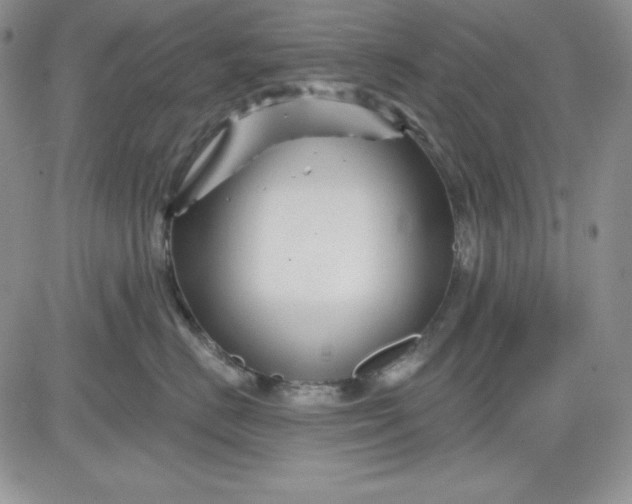 X0000081420670200701261555