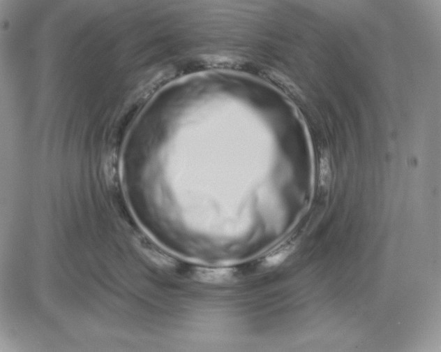 X0000081420671200701261555