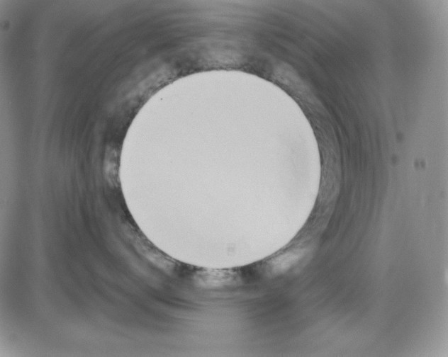 X0000081420672200701261555