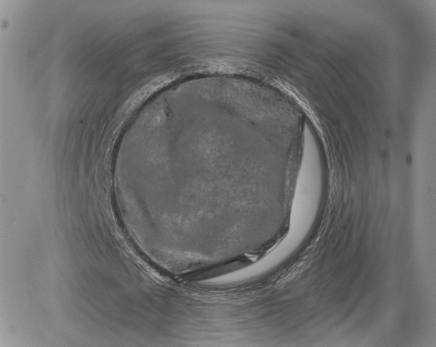 X0000081420673200701261554