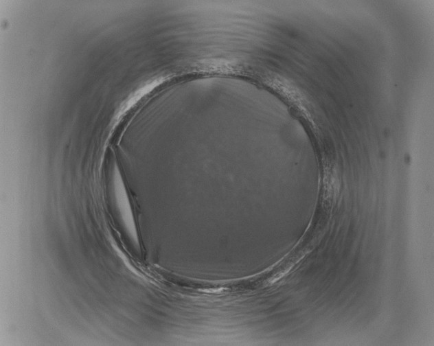 X0000081420674200701261554