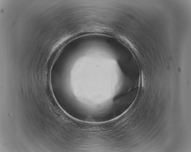 X0000081420675200701261554