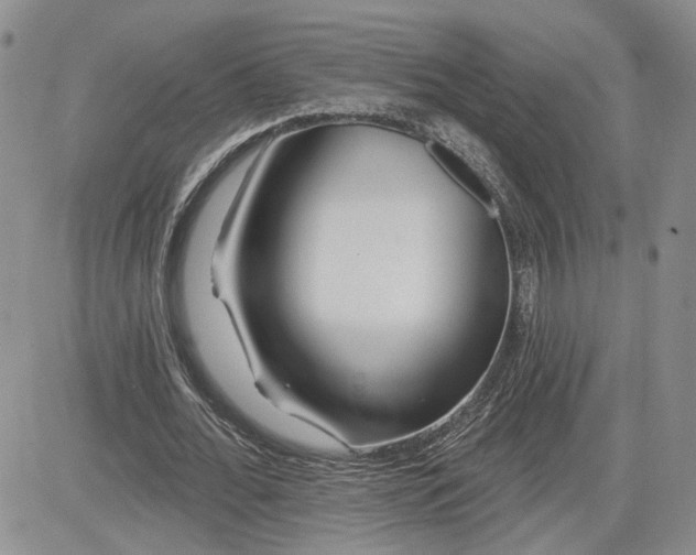 X0000081420676200701261554