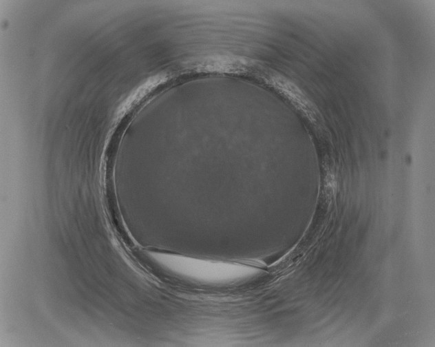 X0000081420678200701261554