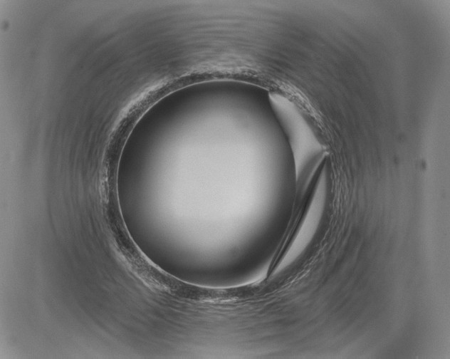 X0000081420680200701261554