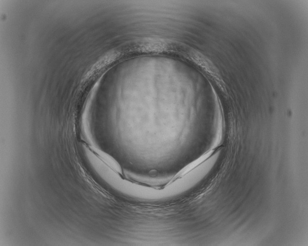 X0000081420681200701261554