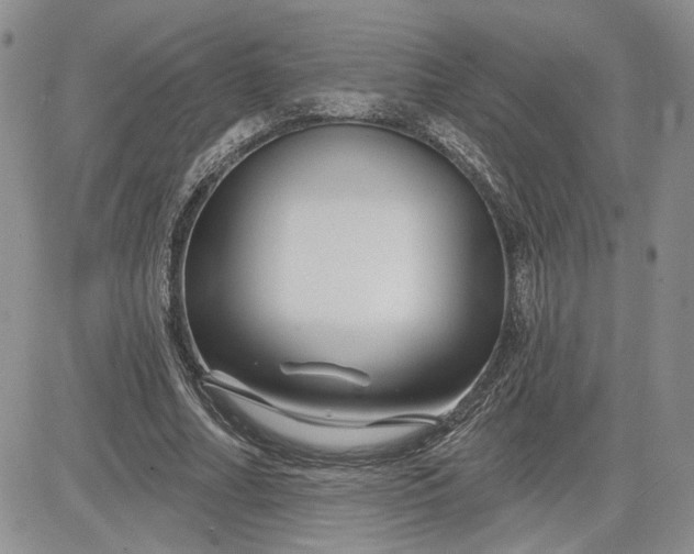 X0000081420682200701261554