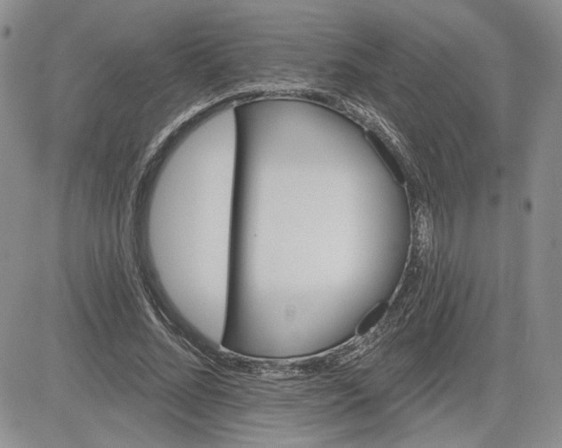 X0000081420684200701261554