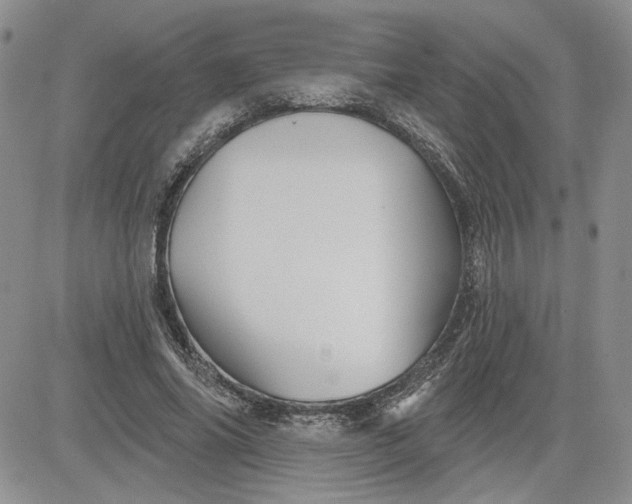 X0000081420686200701261554