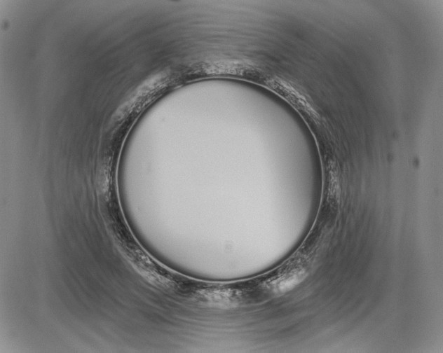 X0000081420687200701261554