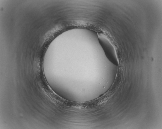 X0000081420688200701261554