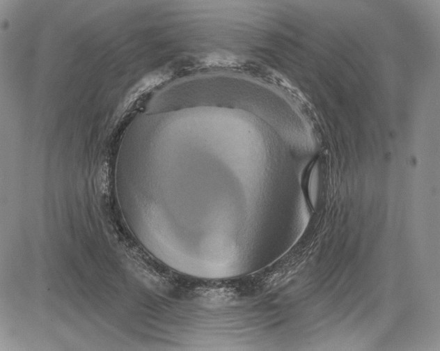 X0000081420689200701261554