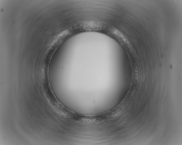 X0000081420690200701261554