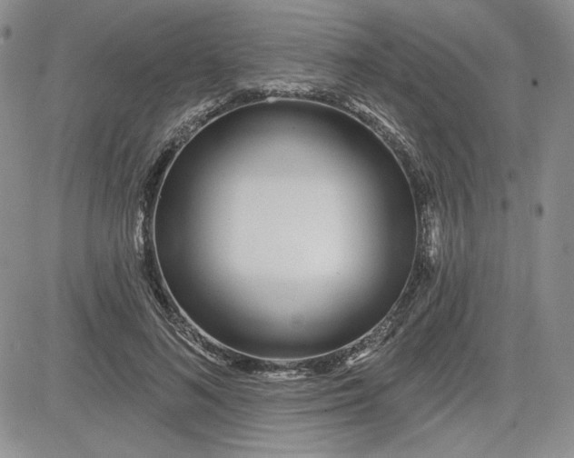 X0000081420692200701261554