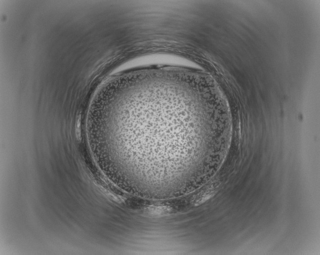 X0000081420696200701261554