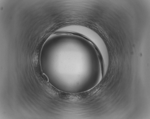 X0000081420697200701261554