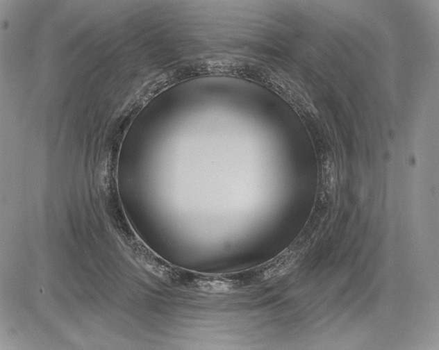 X0000081420698200701261554