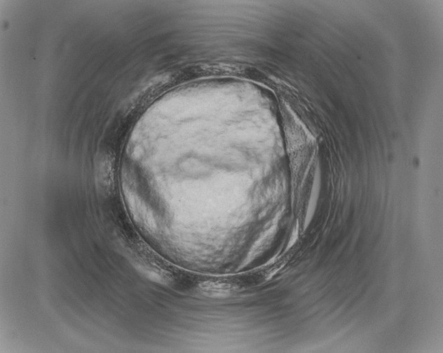 X0000081420699200701261554