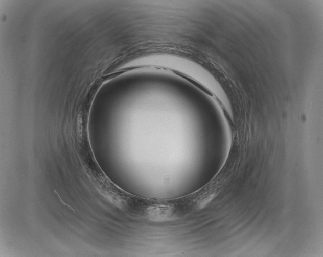 X0000081420700200701261554