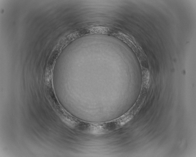 X0000081420701200701261554