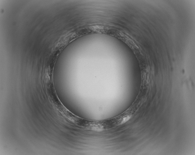 X0000081420702200701261554