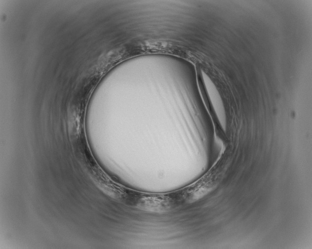 X0000081420703200701261554