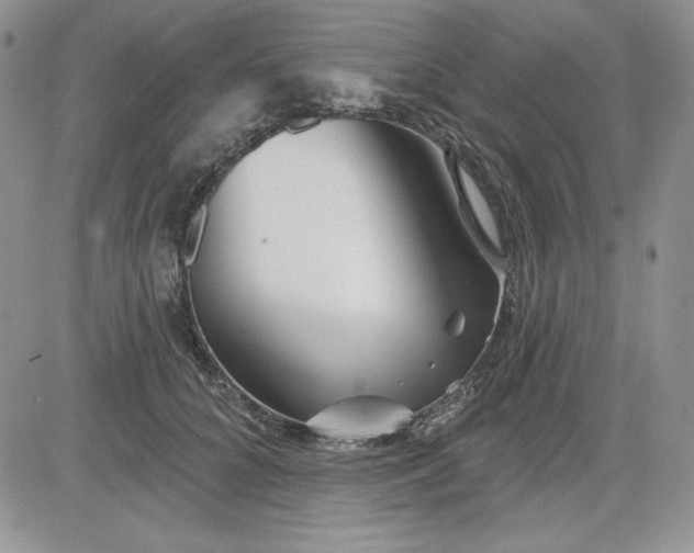 X0000081420704200701261554