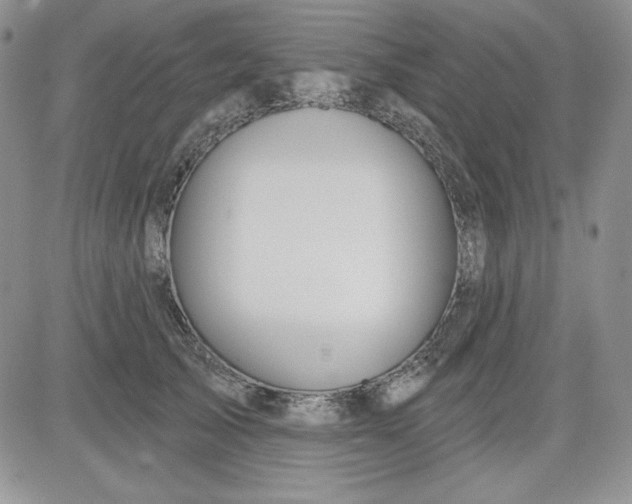 X0000081420705200701261554