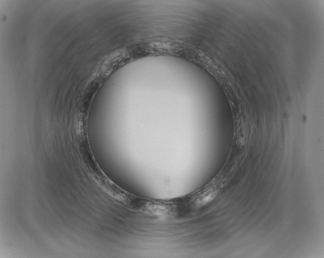 X0000081420706200701261554