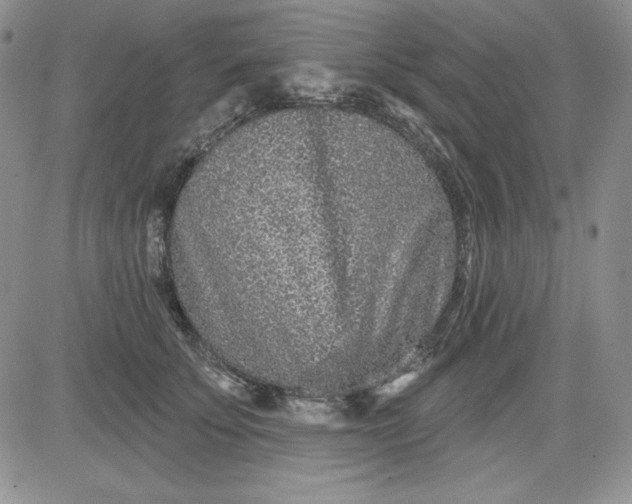 X0000081420707200701261554