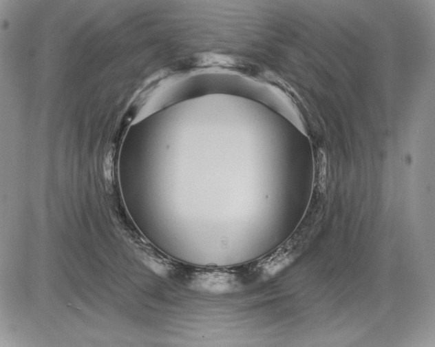 X0000081420708200701261554