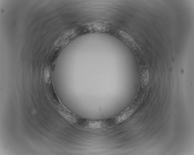 X0000081420709200701261554