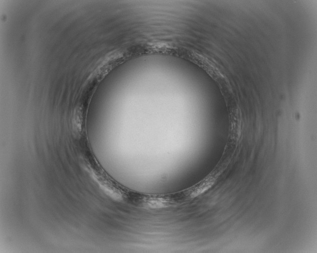 X0000081420710200701261554