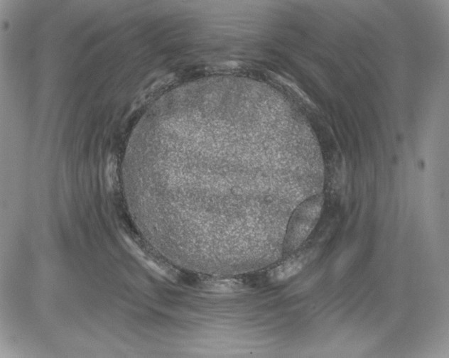 X0000081420711200701261554