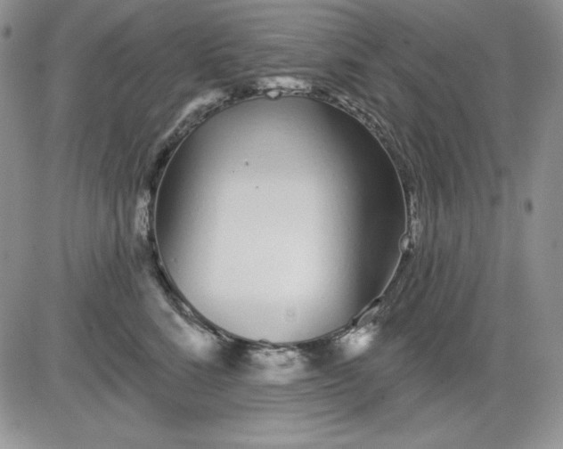 X0000081420712200701261554