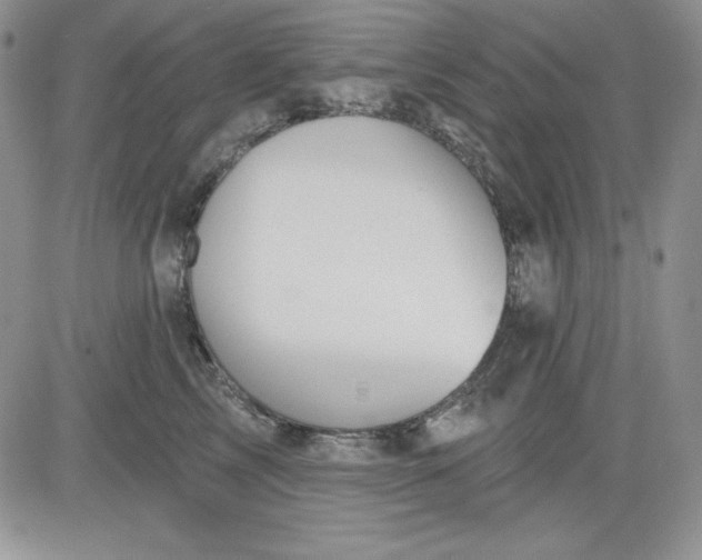 X0000081420713200701261554