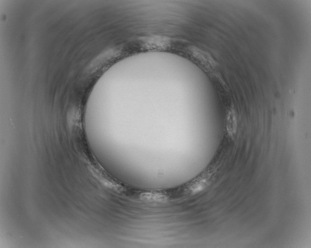 X0000081420714200701261554