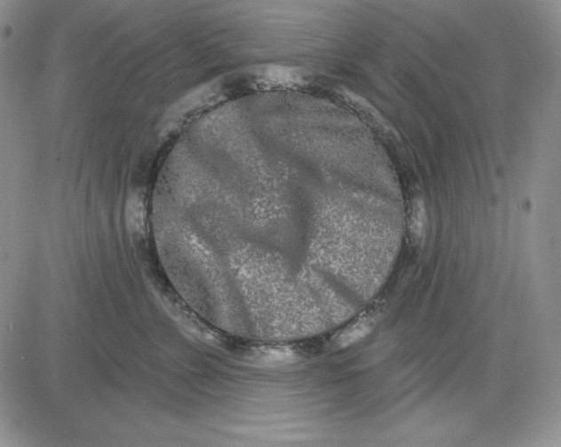 X0000081420715200701261554