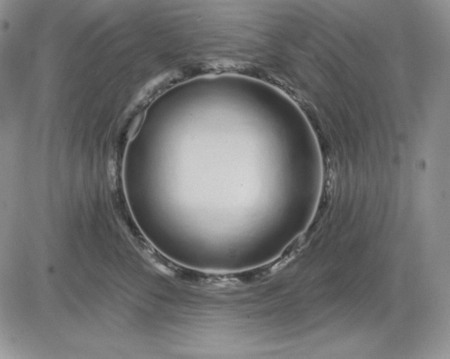 X0000081420716200701261554