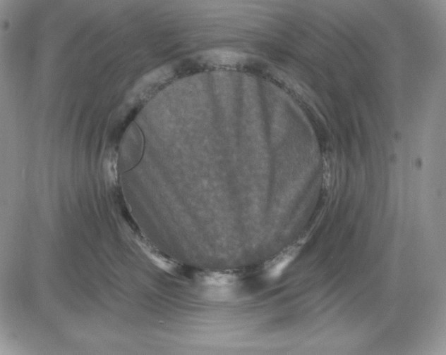 X0000081420718200701261554