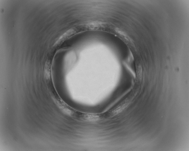 X0000081420719200701261554