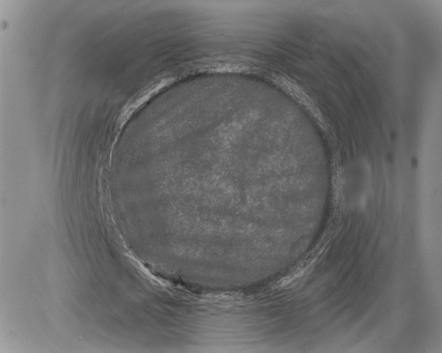 X0000081420721200701261553