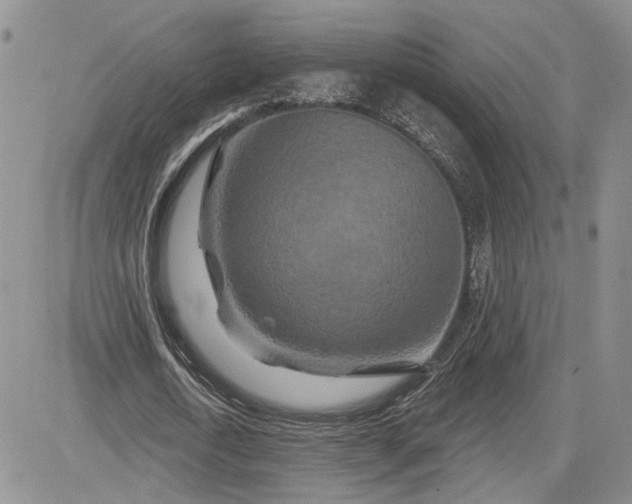 X0000081420722200701261553