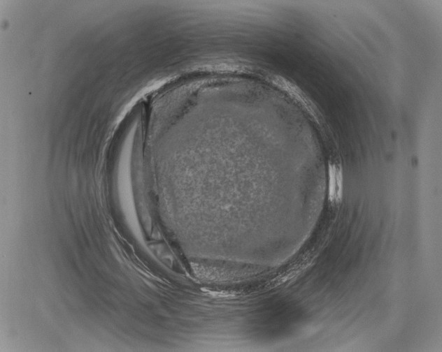 X0000081420723200701261553