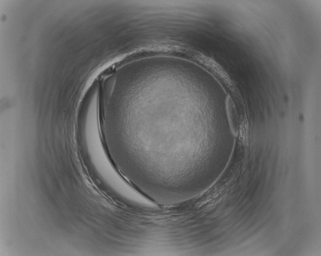 X0000081420724200701261553