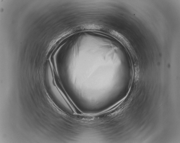 X0000081420725200701261553