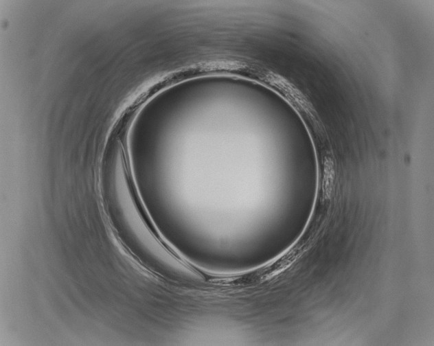 X0000081420726200701261553