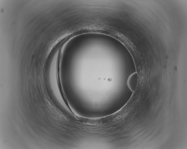 X0000081420727200701261553