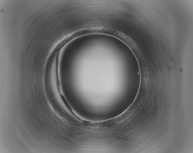 X0000081420728200701261553