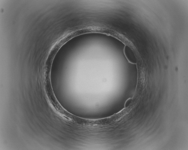 X0000081420730200701261553